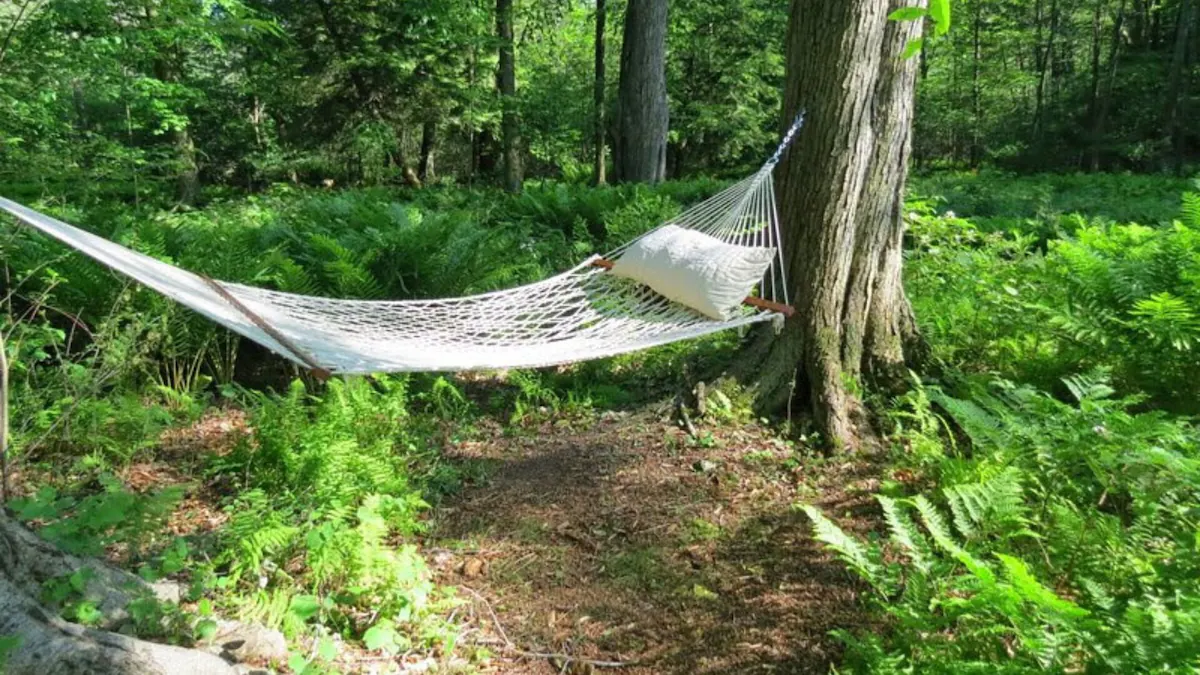 Hammock in the Backyard